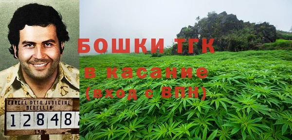СК Богородск