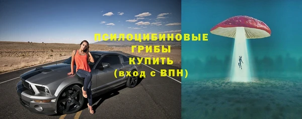 ALPHA PVP Бородино